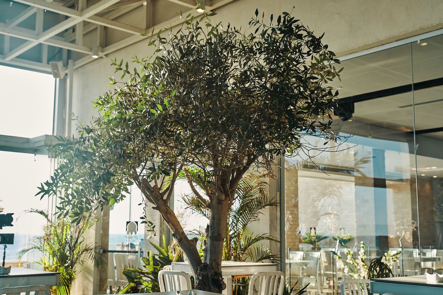 Blue Castle, Ashdod : photo 1